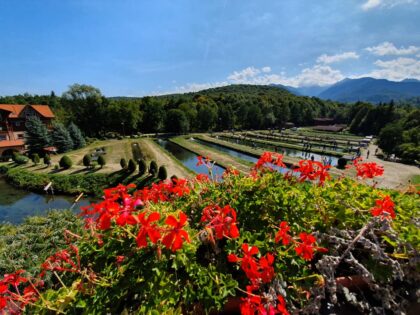 Albota Tourist Complex <br>Sibiu County