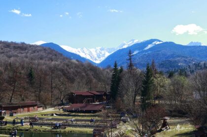 Albota Tourist Complex <br>Sibiu County