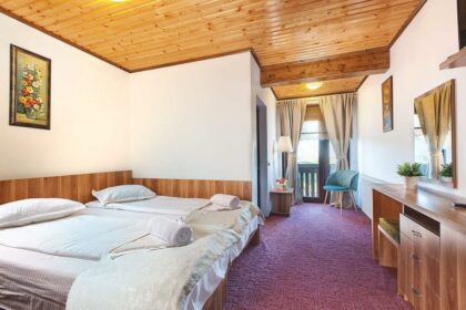 Apfelhaus Guesthouse <br>Sibiu County