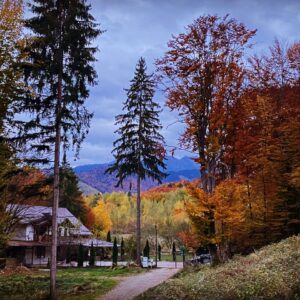 Guesthouse Casa de sub Munte <br> Brașov County