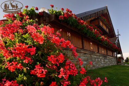 Domeniul Cerbilor Chalets <br>Suceava County