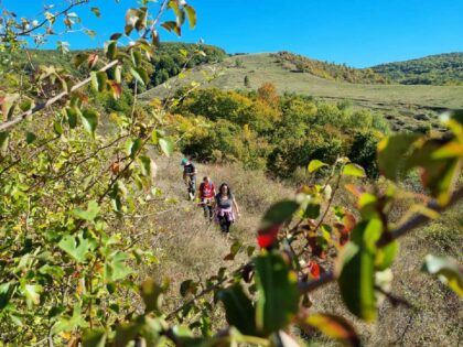 Event House Pădureni Landhouse <br>Cluj County