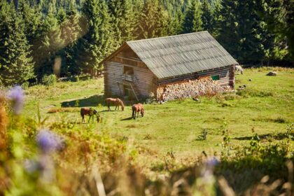 Hipparion Trails Riding Tours <br>Harghita County