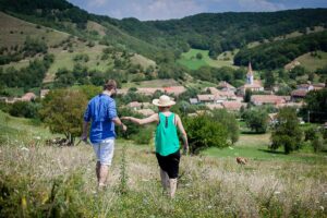 Valea Verde Retreat <br>Mureș County