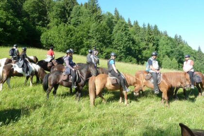 Icelandic Horse Riding Center Ivo <br>Harghita County