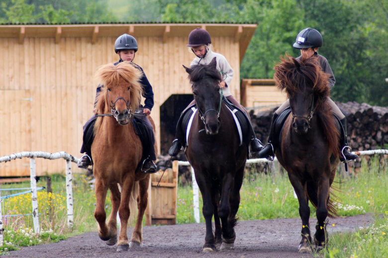 Icelandic Horse Riding Center Ivo <br>Harghita County