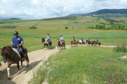 Icelandic Horse Riding Center Ivo <br>Harghita County