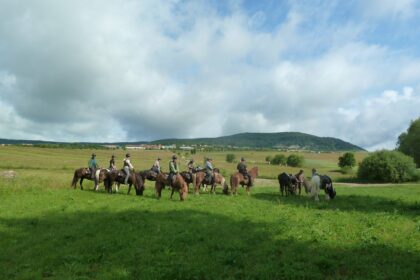 Icelandic Horse Riding Center Ivo <br>Harghita County