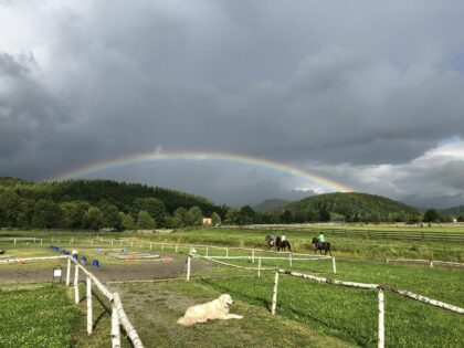 Icelandic Horse Riding Center Ivo <br>Harghita County