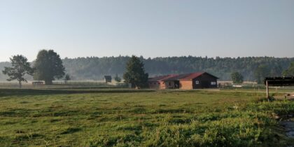 Icelandic Horse Riding Center Ivo <br>Harghita County