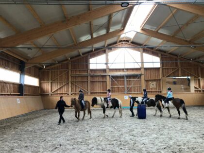 Icelandic Horse Riding Center Ivo <br>Harghita County